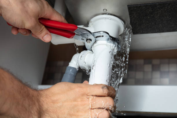 Best Basement water damage restoration  in Stedman, NC