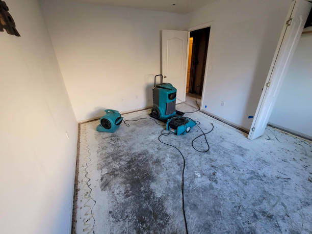 Best Flooded house restoration  in Stedman, NC