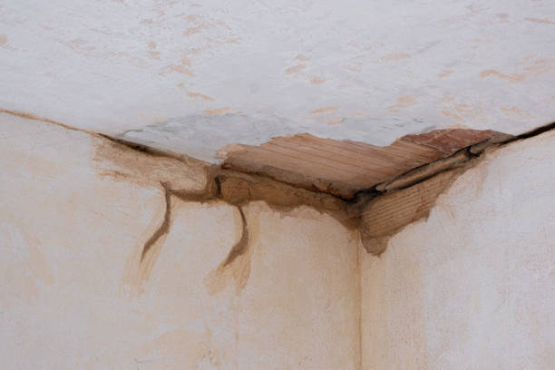 Best Sewage cleanup and water damage restoration  in Stedman, NC