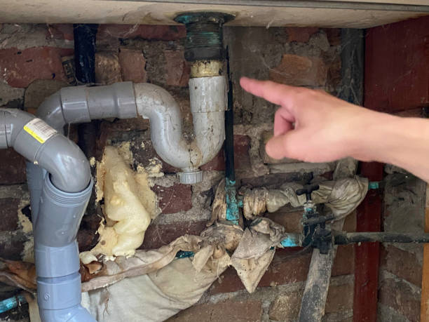 Best Water damage restoration company  in Stedman, NC