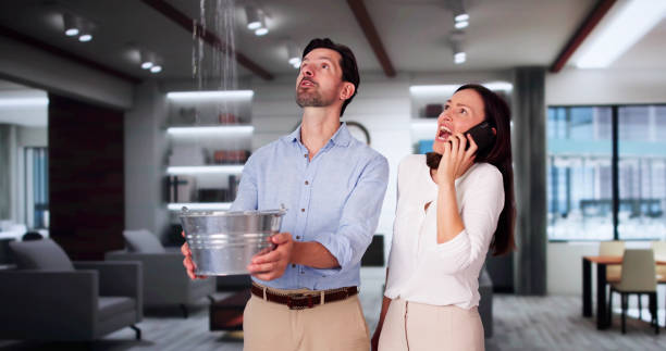 Best Water damage cleanup near me  in Stedman, NC